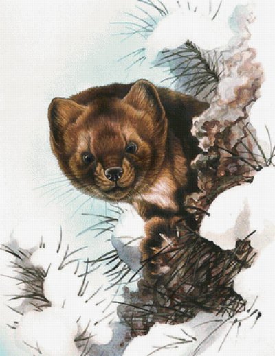 Художник анималист Александр Дегтев