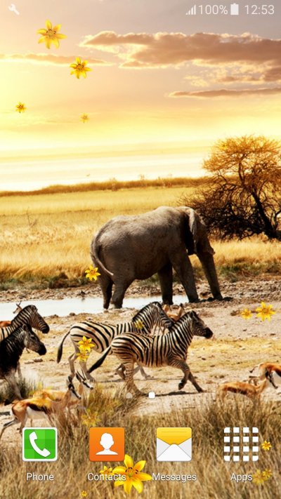 Саванна сафари