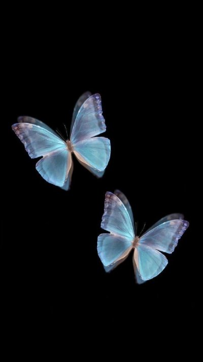 Синяя бабочка