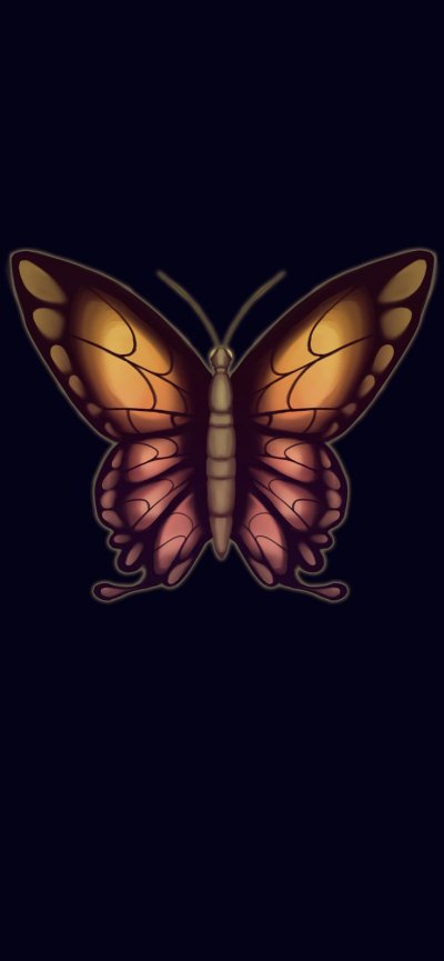 Мотылек обои на телефон