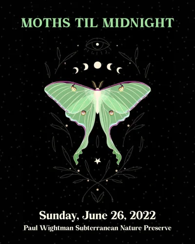 Лунный мотылек