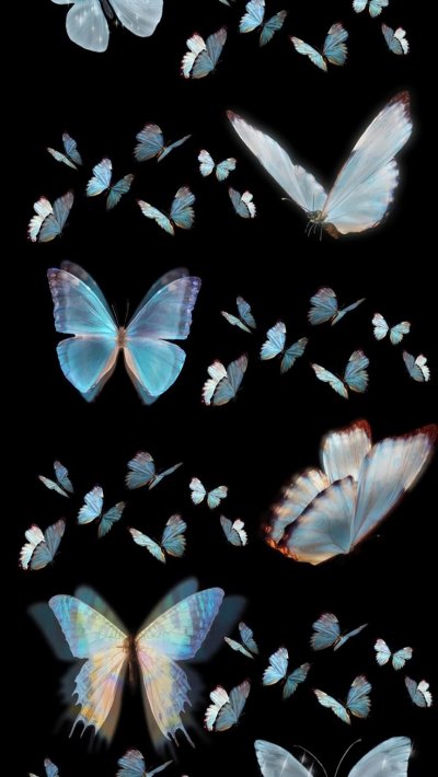 Много бабочек летят