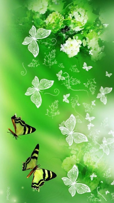 Красивый фон с бабочками