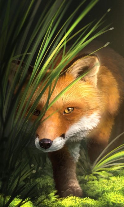 Лиса в траве