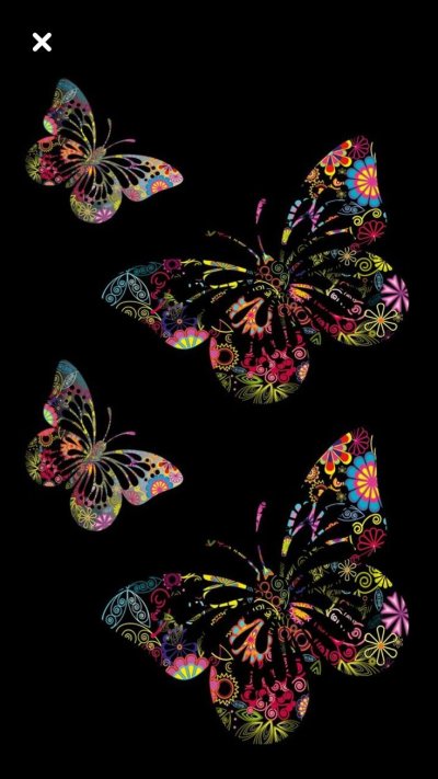 Бабочка на темном фоне