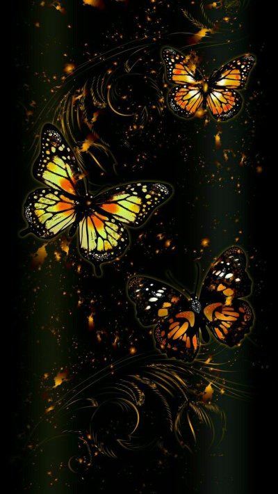 Бабочка на темном фоне