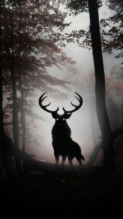 Олень в темном лесу