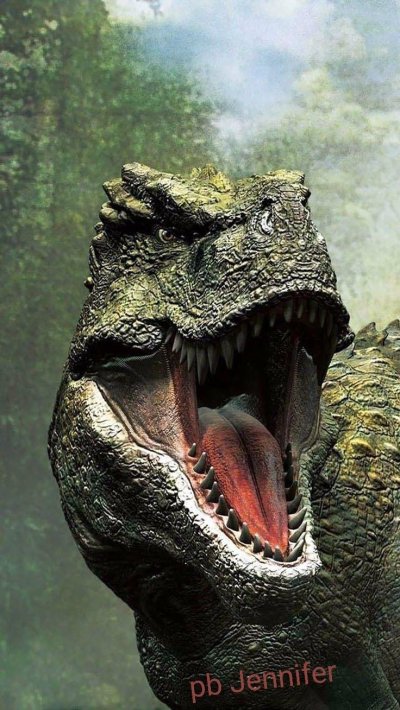 Тарбозавр и Тираннозавр