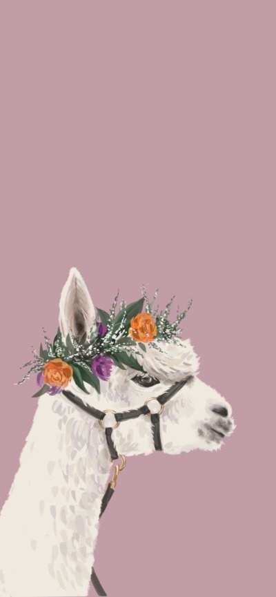 Альпака заставка на телефон