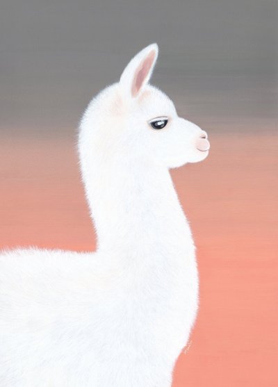 Лама и альпака