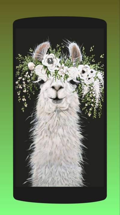 3d обои лама