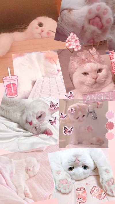 Котики Эстетика розовая