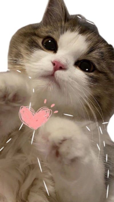 Чудесный котенок