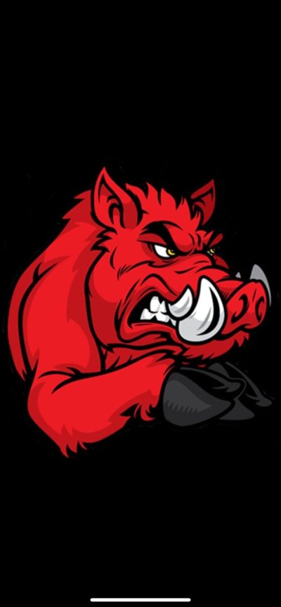 Спартак кабан