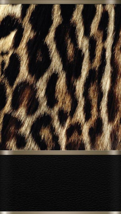 Шкура леопарда