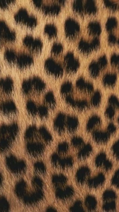 Тату леопардовый принт