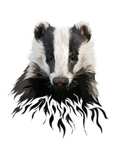Badger Badger Badger