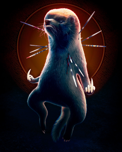 Барсук медоед