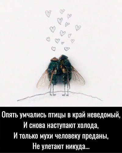 Магнус Мур мухи