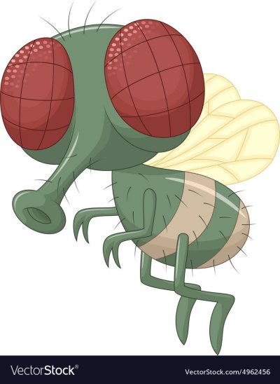 Муха мультяшная