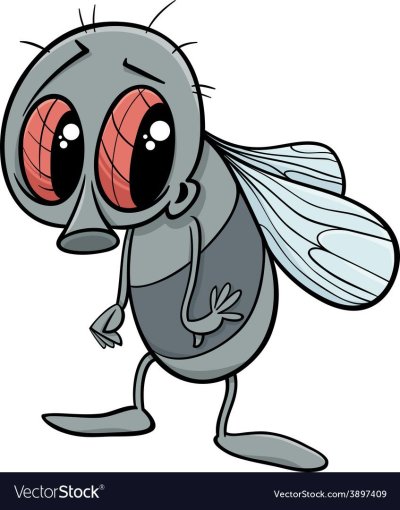 Муха рисунок