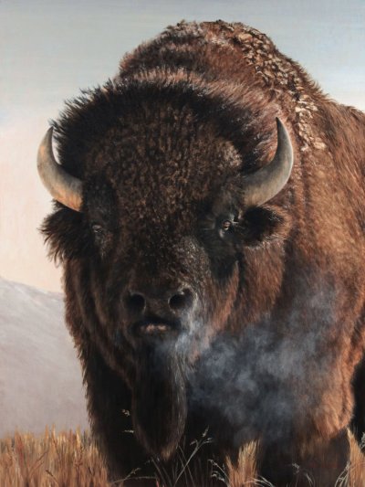 Длиннорогий Бизон