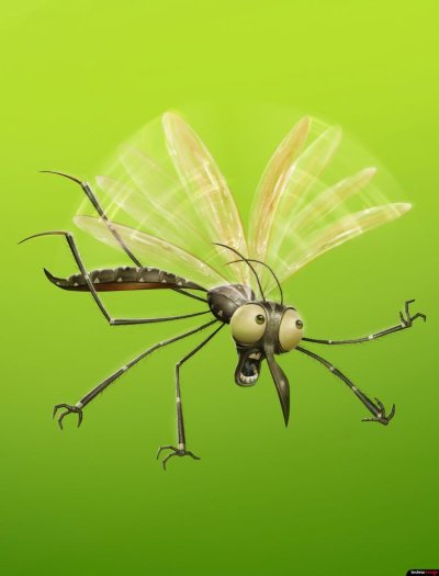 Прикольные насекомые