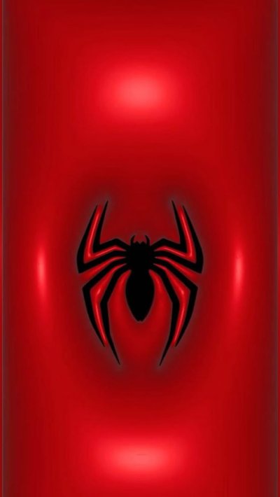 Обои с пауком Пинтерест