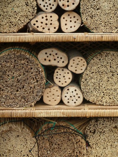 Привлечение полезных насекомых