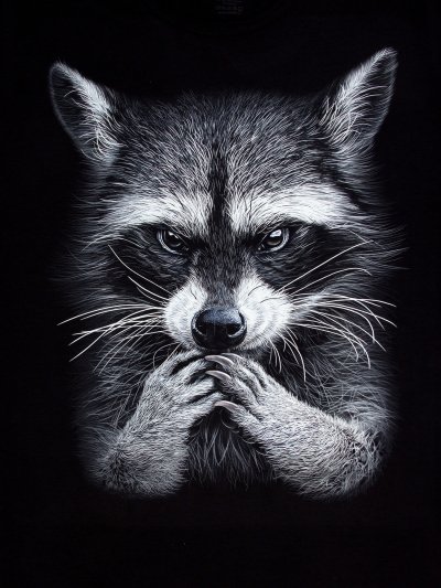 Енот хитрован