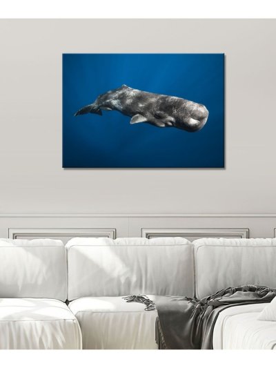 Картина Кашалот