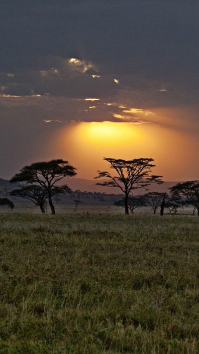 Моюнкумская Саванна