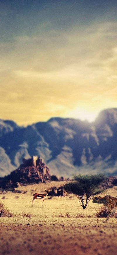 Саванна горы