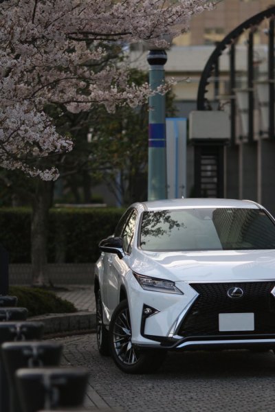 Лексус RX 200 белый