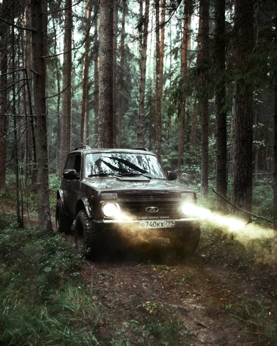 Лада в лесу