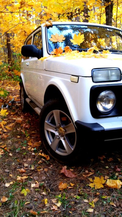 Красивая Нива