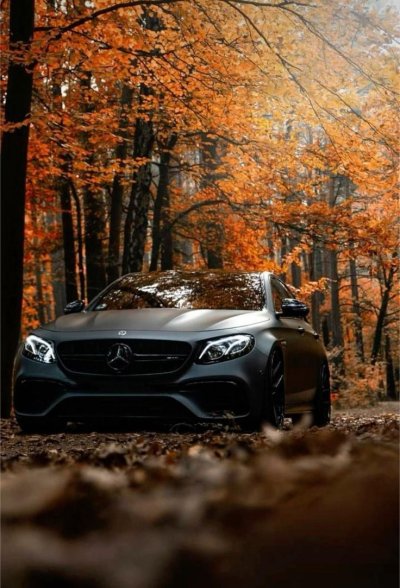 Мерседес осень AMG 63