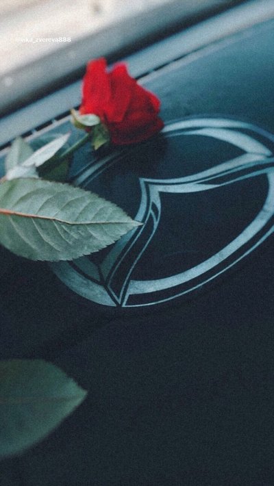 Букет в машине Мазда