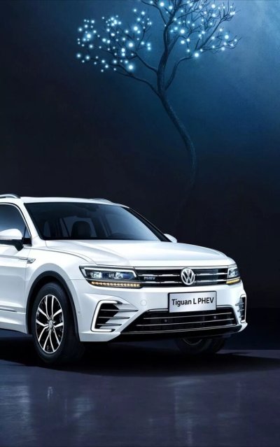 Tiguan l