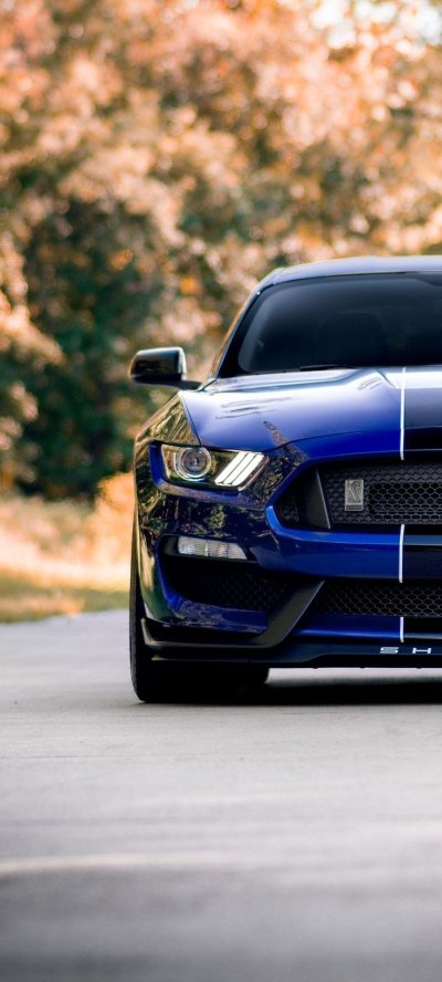 Смартфон Мустанг