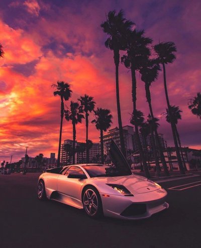 Машина и пальмы