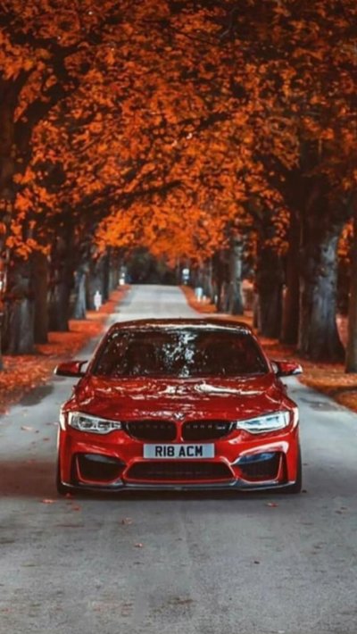 БМВ м5 осень