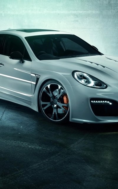 Панамера серебро