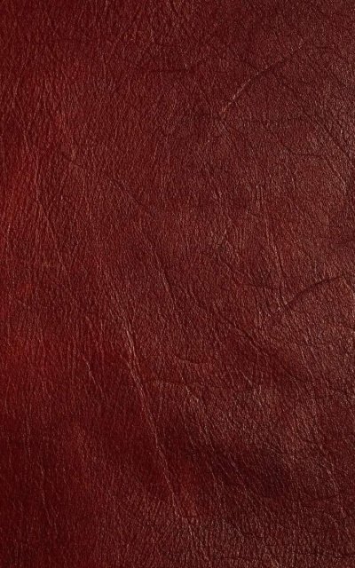 Текстура кожи