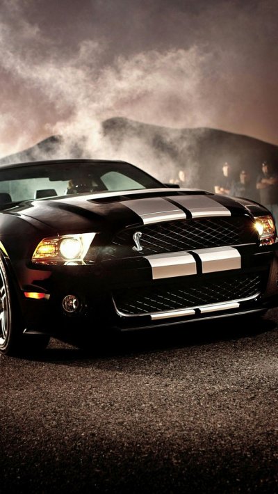 Мустанг gt 500