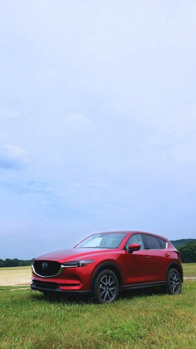 Стаффорд и красная маздаcx5