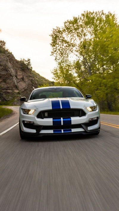 Ford Shelby gt350