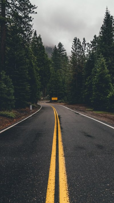 Дорога в лесу