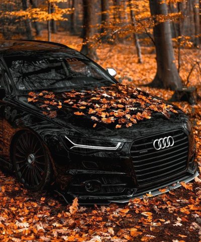 Dark Audi rs6 autumn