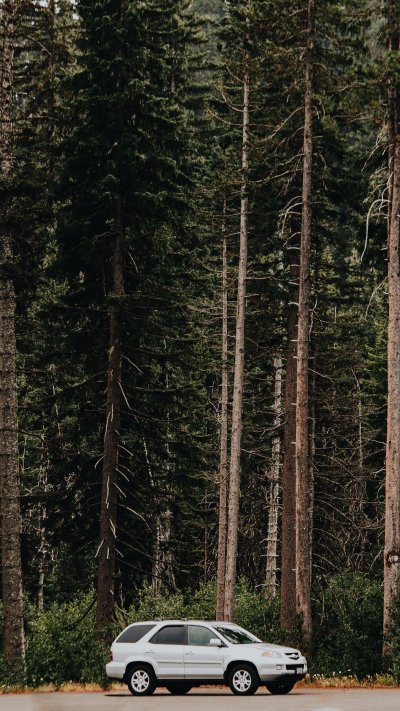 Автомобиль в лесу